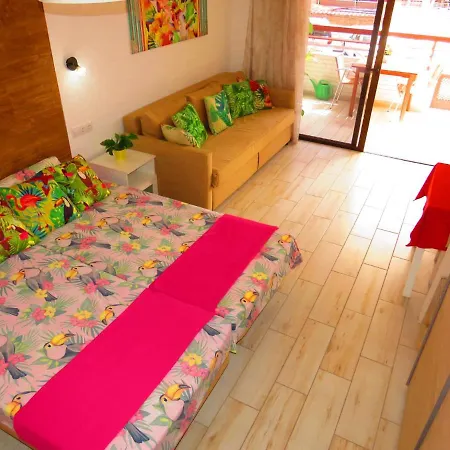 Danubio Studio Appartamento Playa del Inglés